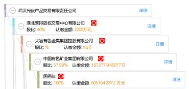 武漢光伏產品交易有限責任公司